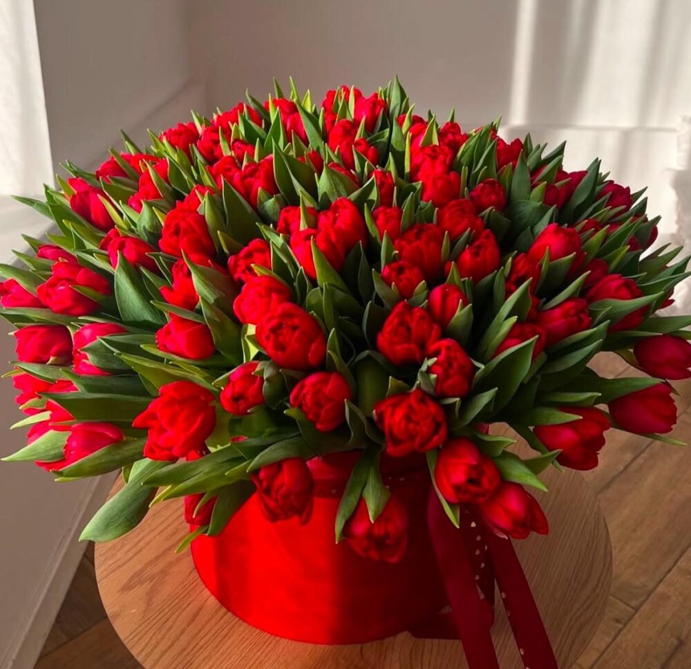 Red tulips
