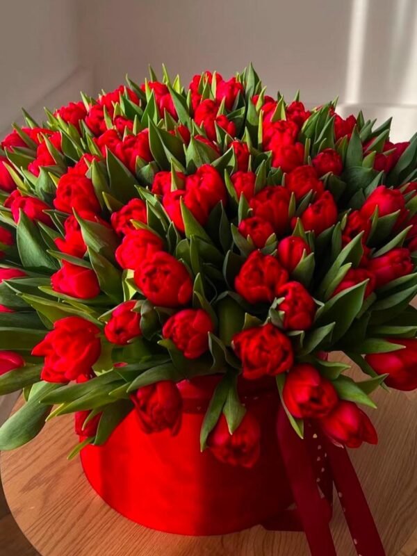 Red tulips