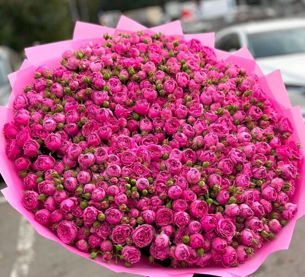Petal Pop