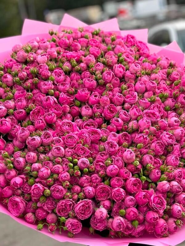 Petal Pop