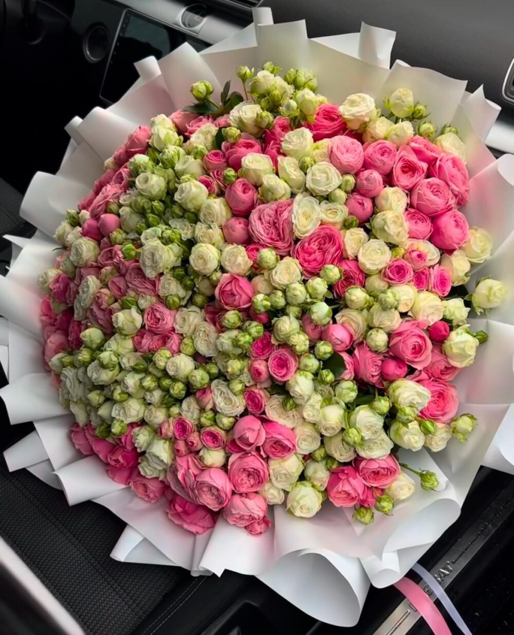 Peony Blush