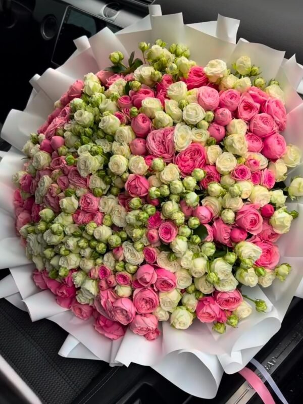 Peony Blush