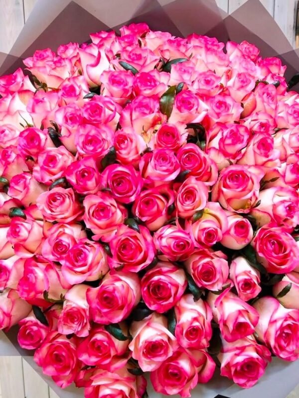 Sugar Bloom