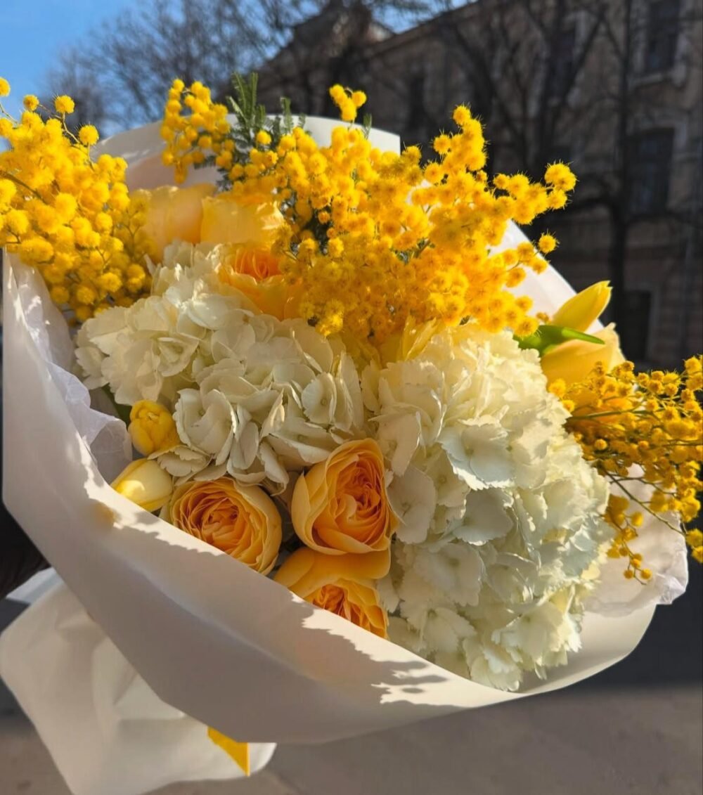 Yellow Mimosa
