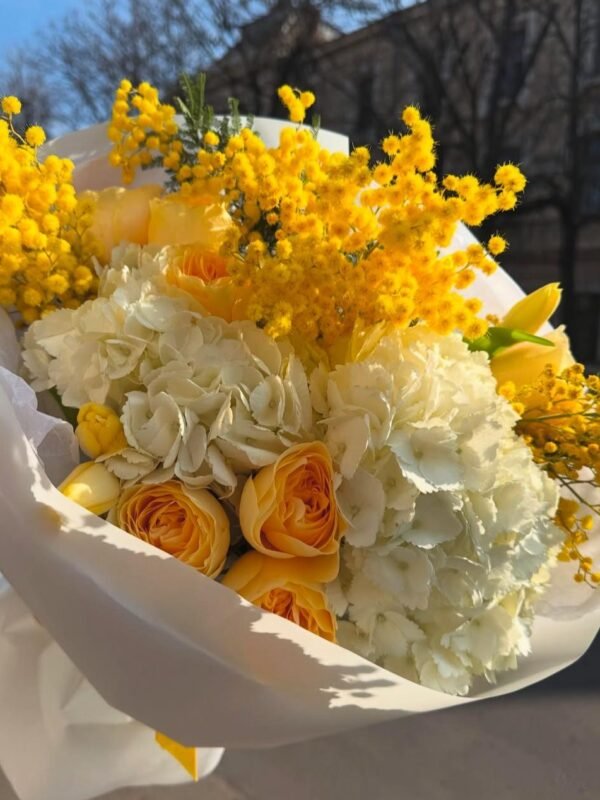 Yellow Mimosa