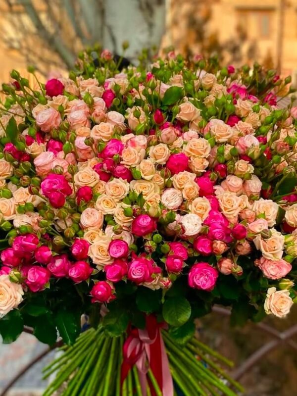 Pink Champagne