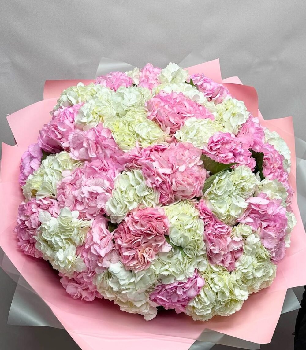 Marshmallow Mist
