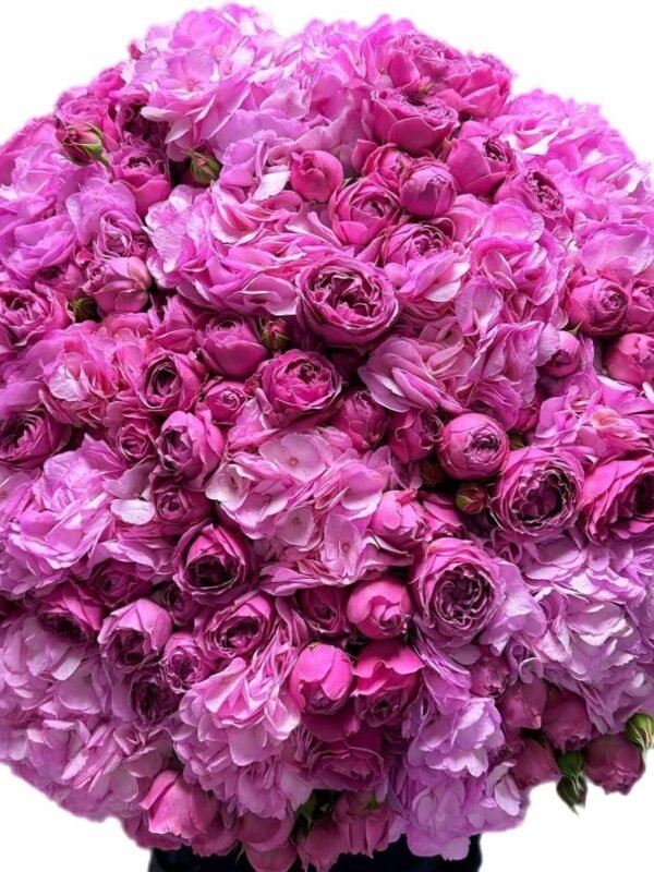 Velvet Bloom
