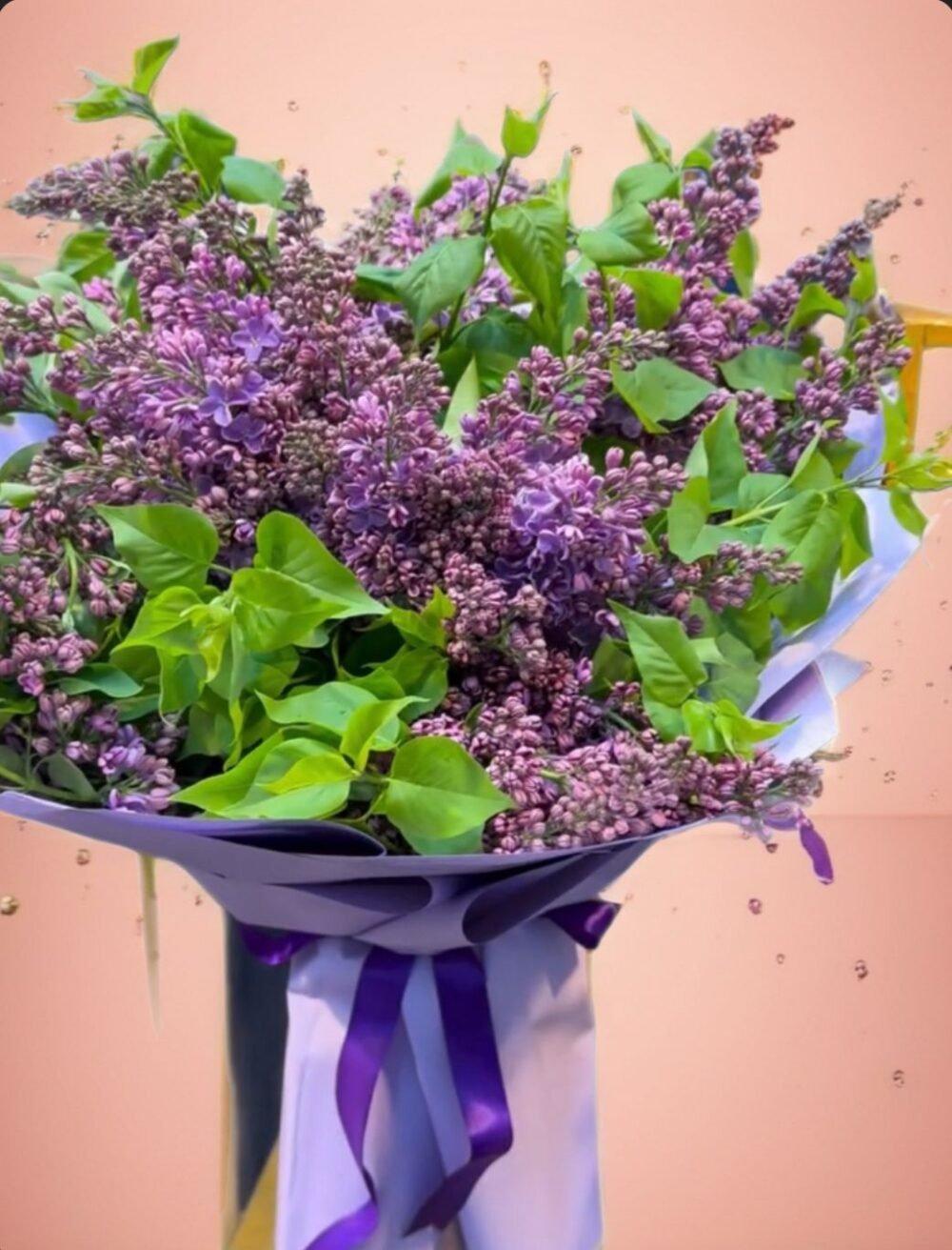 Violet Bloom