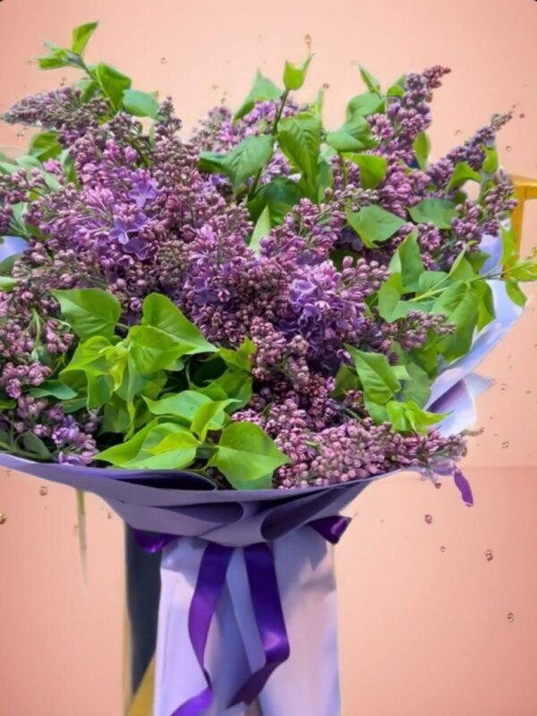 Violet Bloom