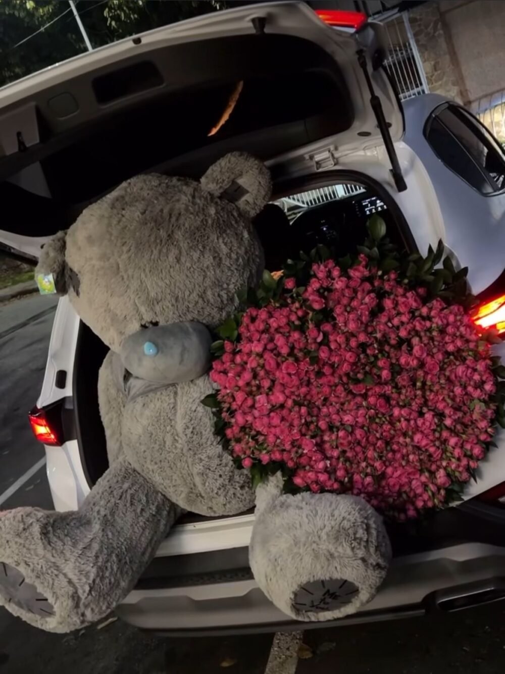 Cuddle & Bloom