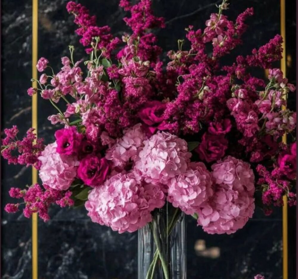 Velvet Bloom