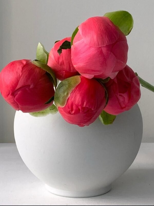 peonies